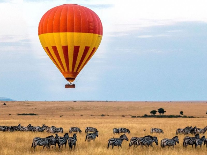 6 Days Lake Nakuru, Lake Bogoria, Lake Naivasha & Maasai Mara Safari