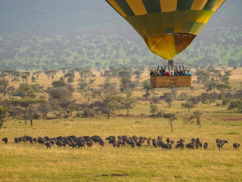 6 Days Lake Nakuru, Lake Bogoria, Lake Naivasha & Maasai Mara Safari