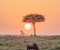 8-Day Safari: Maasai Mara, Nakuru, Amboseli, Tsavo West, and Tsavo East