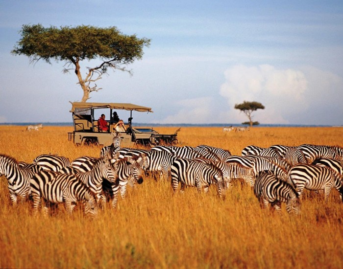 8-Day Safari: Maasai Mara, Nakuru, Amboseli, Tsavo West, and Tsavo East