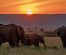 Unforgettable 9-Day Safari Across Kenya’s Iconic Parks