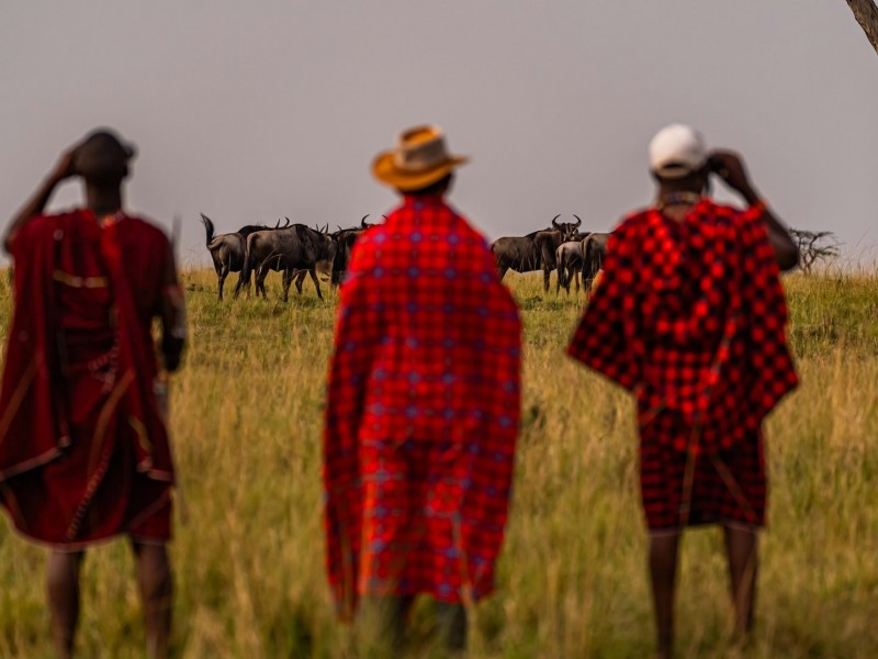 Unforgettable 9-Day Safari Across Kenya’s Iconic Parks