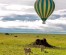 13-Day Kenya & Tanzania Wildlife Safari: Maasai Mara, Serengeti & Ngorongoro Adventure