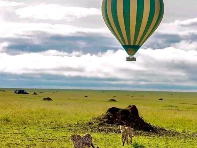 13-Day Kenya & Tanzania Wildlife Safari: Maasai Mara, Serengeti & Ngorongoro Adventure