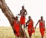 13-Day Kenya & Tanzania Wildlife Safari: Maasai Mara, Serengeti & Ngorongoro Adventure