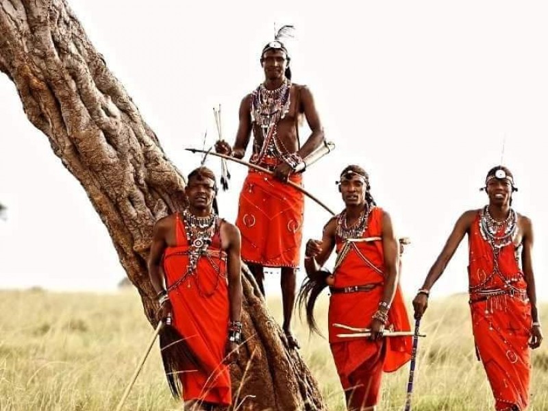 13-Day Kenya & Tanzania Wildlife Safari: Maasai Mara, Serengeti & Ngorongoro Adventure