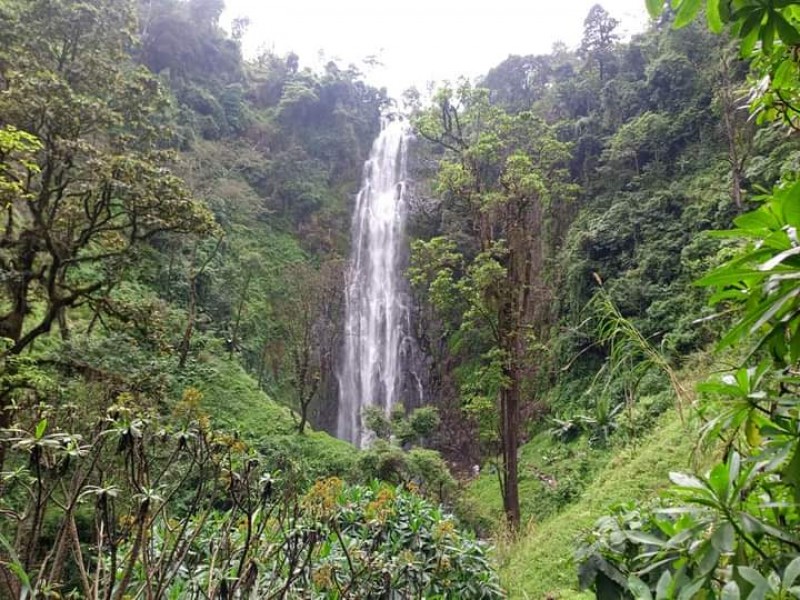 Day trip to materuni waterfall and coffee tour