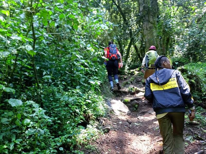 Day trip to materuni waterfall and coffee tour