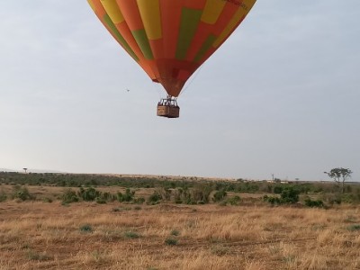 Wilderness Wonders: A 4-Day Masai Mara and Lake Nakuru Safari Adventure