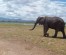 Unforgettable 3-Day Amboseli Safari Adventure